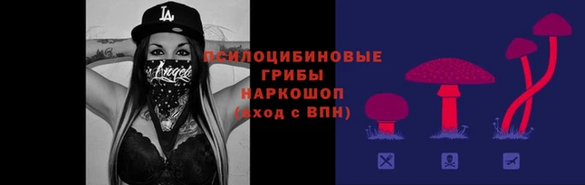 альфа пвп Вяземский