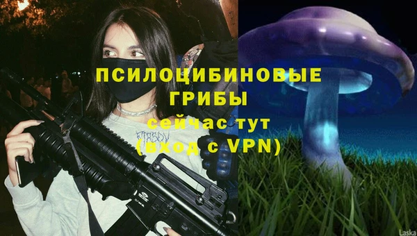 эйфоретик Покров