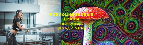 меф Гусиноозёрск