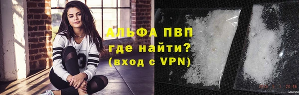 PSILOCYBIN Пестово