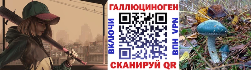 наркошоп  KRAKEN ссылки  Галлюциногенные грибы Psilocybe  дарк нет телеграм  Сергач 